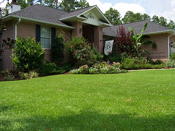 Green Day Landscaping and Lawn Care Maintenance Specialists